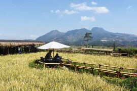 Menjelajahi Keindahan Tersembunyi: Keajaiban Lintasan Malang