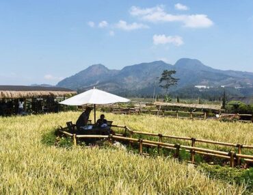 Menjelajahi Keindahan Tersembunyi: Keajaiban Lintasan Malang