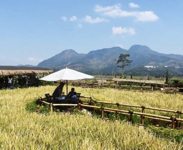 Menjelajahi Keindahan Tersembunyi: Keajaiban Lintasan Malang